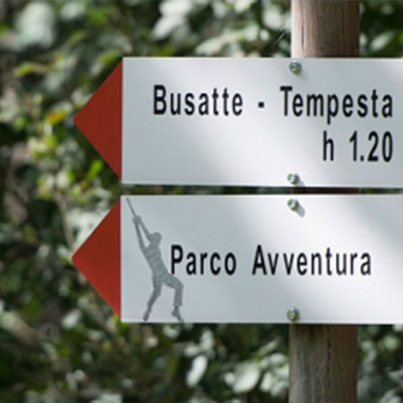 Busatte